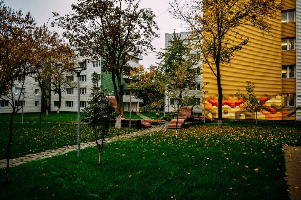 Cămine cu fațade colorate și alei cu frunze de toamnă în campusul Tudor Vladimirescu