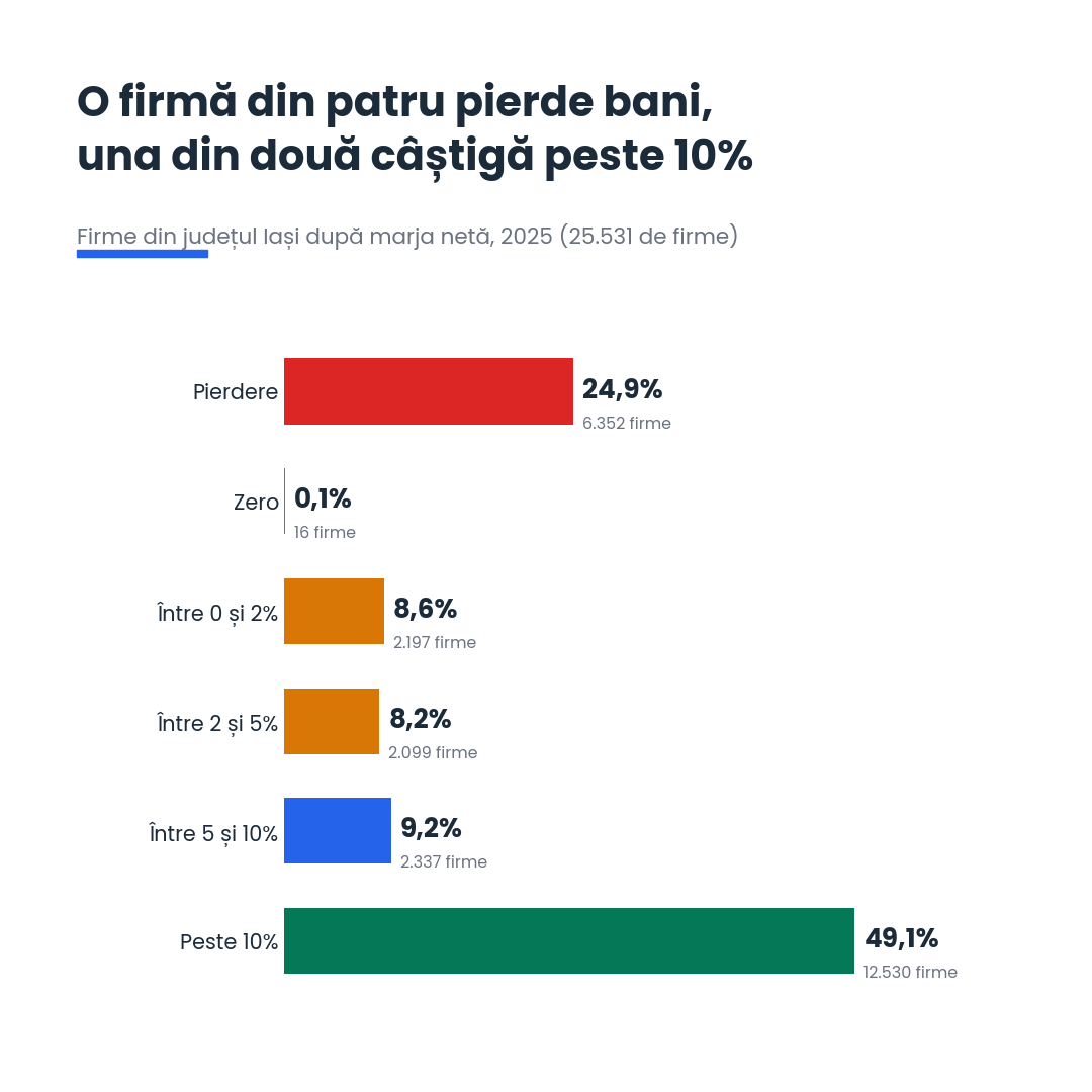 Distribuția firmelor din județul Iași după marja netă în 2025: 24,9% pe pierdere, 49,1% cu marjă peste 10%