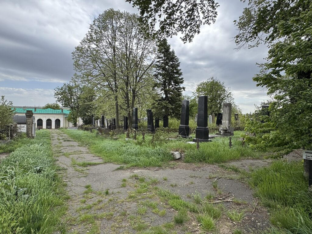 Alee între morminte în cimitirul Eternitatea din Iași