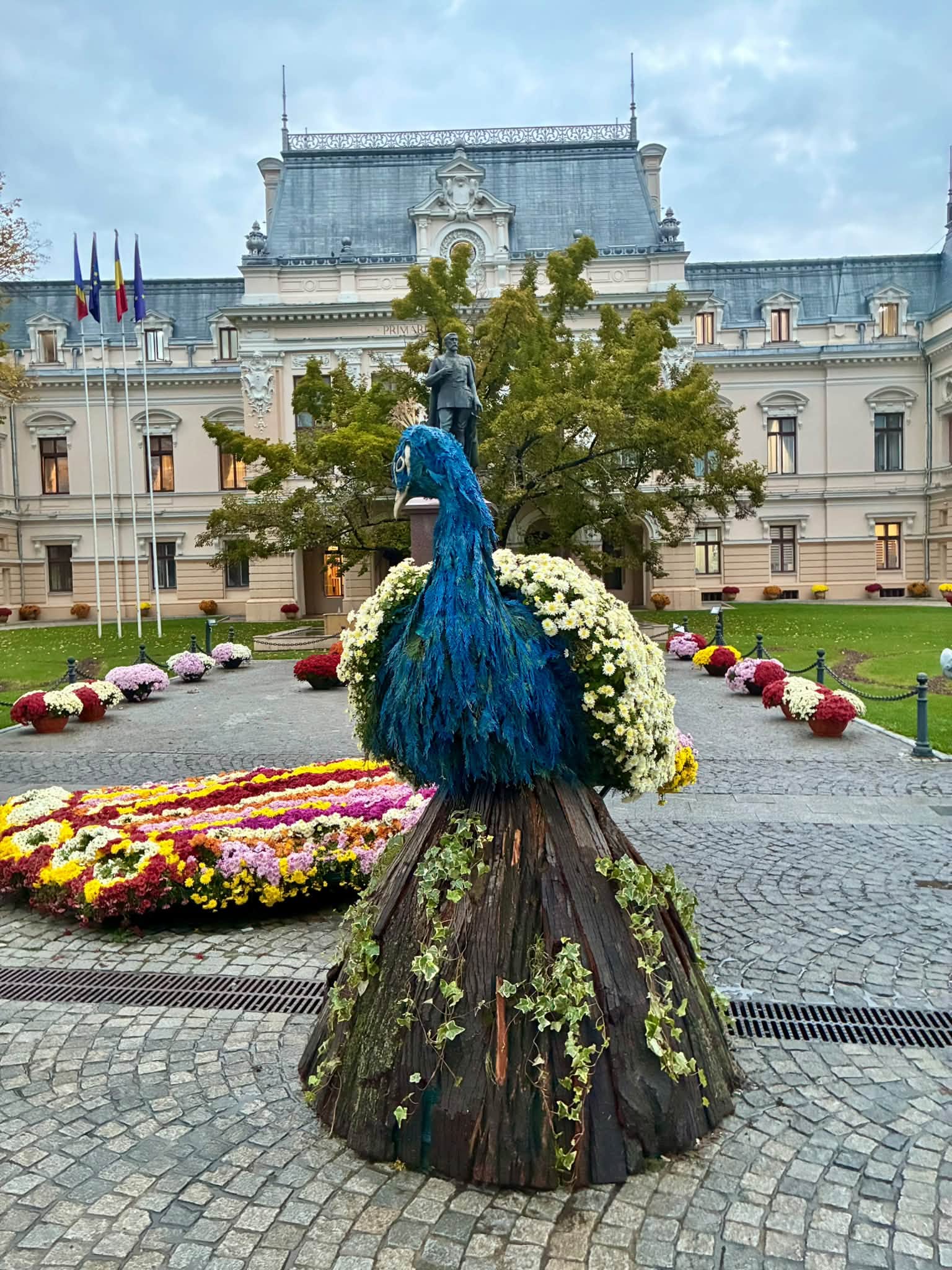 Păun din flori, cu coada întinsă pe caldarâm, în curtea Primăriei Iași